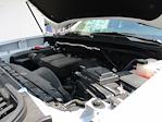 2024 Chevrolet Silverado 3500 Crew Cab 4x4 Pickup for sale #12488T - photo 17
