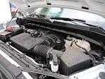 2024 Chevrolet Silverado 1500 Regular Cab 4x2 Pickup for sale #12500T - photo 17