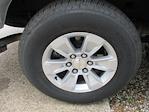 2024 Chevrolet Silverado 1500 Regular Cab 4x2 Pickup for sale #12500T - photo 22