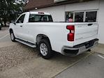 2024 Chevrolet Silverado 1500 Regular Cab 4x2 Pickup for sale #12500T - photo 2