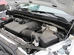 2024 Chevrolet Silverado 1500 Regular Cab 4x2 Pickup for sale #12501T - photo 17