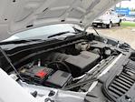 2024 Chevrolet Silverado 1500 Regular Cab 4x2 Pickup for sale #12501T - photo 18