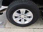 2024 Chevrolet Silverado 1500 Regular Cab 4x2 Pickup for sale #12501T - photo 22