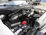 2018 Ford F-250 Crew Cab RWD Pickup for sale #12517TA - photo 21