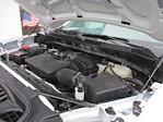 2024 Chevrolet Silverado 1500 Regular Cab RWD Pickup for sale #12573T - photo 20