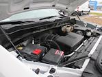 2024 Chevrolet Silverado 1500 Regular Cab RWD Pickup for sale #12573T - photo 21