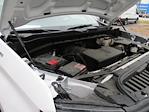 2024 Chevrolet Silverado 1500 Regular Cab RWD Pickup for sale #12575T - photo 21