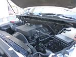 2024 Chevrolet Silverado 2500 Crew Cab SRW 4x4 Pickup for sale #250617A - photo 18