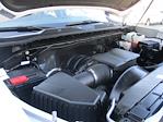 2024 Chevrolet Silverado 2500 Crew Cab SRW 4x4 Pickup for sale #250617A - photo 19