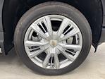 2025 Chevrolet Silverado 1500 Crew Cab 4x4 Pickup for sale #250680 - photo 34
