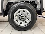 2025 Chevrolet Silverado 3500 Regular Cab SRW 4WD Pickup for sale #C250691 - photo 16