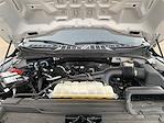 2023 Ford F-150 SuperCrew Cab 4x4 Pickup for sale #251064A - photo 28