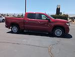 2024 Chevrolet Silverado 1500 Crew Cab 4x2 Pickup for sale #251489A - photo 15