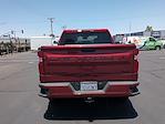 2024 Chevrolet Silverado 1500 Crew Cab 4x2 Pickup for sale #251489A - photo 24
