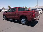 2024 Chevrolet Silverado 1500 Crew Cab 4x2 Pickup for sale #251489A - photo 26
