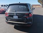 2024 Honda Odyssey FWD Minivan for sale #251573A - photo 21