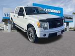 2014 Ford F-150 SuperCrew Cab 4WD Pickup for sale #260513B - photo 9