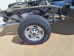 New 2024 Chevrolet Silverado 2500 Work Truck Regular Cab 55 CA Cab Chassis for sale #F241013 - photo 8