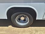 2024 Chevrolet Express 3500 Regular Cab DRW RWD Harbor Service Utility Van for sale #F243045 - photo 7