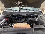 2017 Ford F-150 SuperCrew Cab 4x2 Pickup for sale #P78822 - photo 28