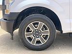 2017 Ford F-150 SuperCrew Cab 4x2 Pickup for sale #P78822 - photo 31