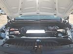 2024 Chevrolet Silverado 1500 Regular Cab 4x2 Pickup for sale #P78955 - photo 27