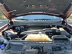 2024 Ford F-150 SuperCrew Cab 4WD Pickup for sale #P79049 - photo 28
