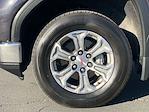 2024 GMC Sierra 1500 Crew Cab RWD Pickup for sale #P79055 - photo 31