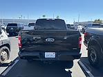 2020 Ford F-150 SuperCrew Cab 4x2 Pickup for sale #U251670A - photo 15