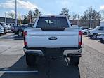 2017 Ford F-250 Crew Cab 4WD Pickup for sale #HEB25074 - photo 3