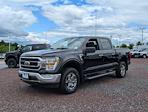 2023 Ford F-150 SuperCrew Cab 4WD Pickup for sale #PFB85109 - photo 9