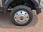 2024 Ford F-450 Crew Cab DRW 4WD Pickup for sale #REC64538A - photo 10
