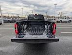 2025 Ford F-250 Crew Cab 4WD Pickup for sale #SEC28165 - photo 10