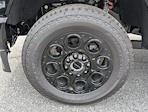 2025 Ford F-250 Crew Cab 4WD Pickup for sale #SEC77079 - photo 6