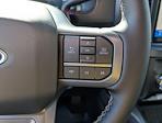 2025 Ford F-250 Crew Cab 4WD Pickup for sale #SEC80375 - photo 23
