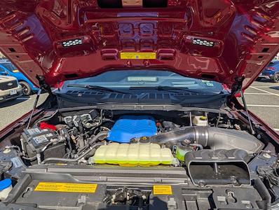 Used 2025 Ford F-150 - photo 1