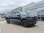 2025 Ford F-150 SuperCrew Cab 4WD Pickup for sale #SFA33811 - photo 3