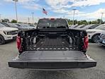 2025 Ford F-150 SuperCrew Cab 4WD Pickup for sale #SFB81101 - photo 9