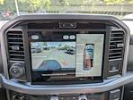 New 2025 Ford F-150 XLT SuperCrew Cab for sale #SFB81497 - photo 30
