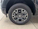 New 2025 Ford F-150 STX SuperCrew Cab 4WD Pickup for sale #SKD23389 - photo 6
