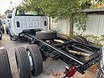 New 2024 Chevrolet Silverado 5500 Work Truck Regular Cab Cab Chassis for sale #RH486522 - photo 2