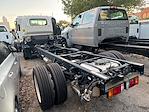 New 2024 Chevrolet LCF 5500HG Regular Cab Cab Chassis for sale #RS500322 - photo 2