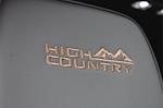 2025 Chevrolet Silverado 1500 Crew Cab 4x4 Pickup for sale #46930 - photo 18
