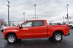 2023 Chevrolet Silverado 1500 Crew Cab 4WD Pickup for sale #47397A - photo 10
