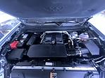 2024 Chevrolet Colorado Crew Cab 4WD Pickup for sale #260233A - photo 11