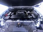 2024 Chevrolet Colorado Crew Cab 4WD Pickup for sale #260274A - photo 11