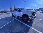 2017 Ford F-250 Crew Cab 4WD Pickup for sale #260277A - photo 3