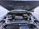 2023 Chevrolet Silverado 1500 Crew Cab 4WD Pickup for sale #T15556 - photo 11