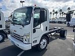 New 2024 Chevrolet LCF 4500HG Base Regular Cab RWD Cab Chassis for sale #947634A - photo 1