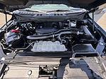 2023 Ford F-150 SuperCrew Cab 4x4 Pickup for sale #D5426 - photo 8